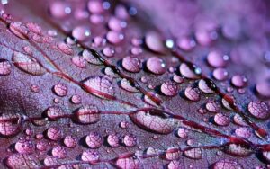 Color ultra violeta