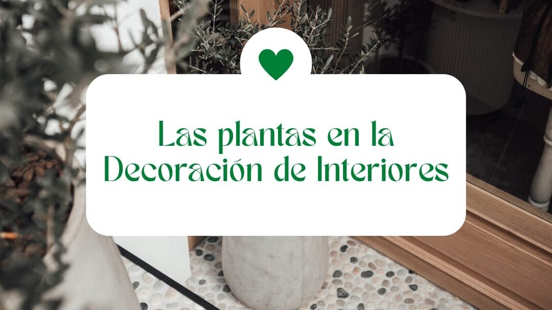 Las Plantas en la Decoración de Interiores